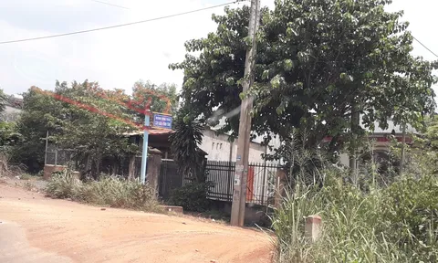 Đồng Nai: Khoáng sản “chảy máu”, chính quyền ngó lơ?